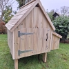 Six Bird Chicken House with Nesting Box - Image 8