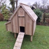 Six Bird Chicken House with Nesting Box - Image 10