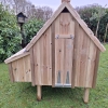 Six Bird Chicken House with Nesting Box - Image 7