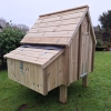 Six Bird Chicken House with Nesting Box - Image 11